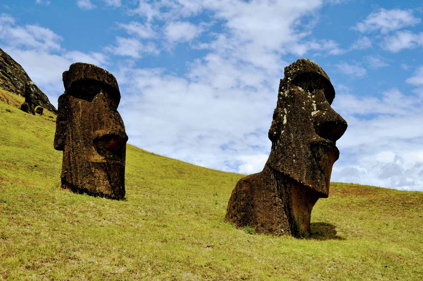 TDF-Rapa-Nui-Two-Moai-Heads-On-Hill-5-11-20